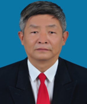 杨改河 