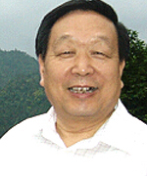 李德仁