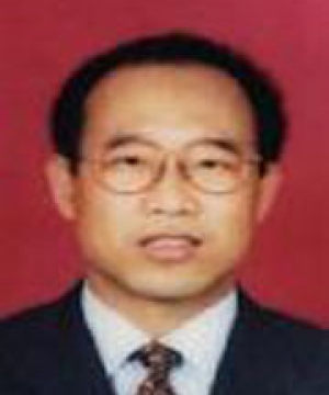 李金善 